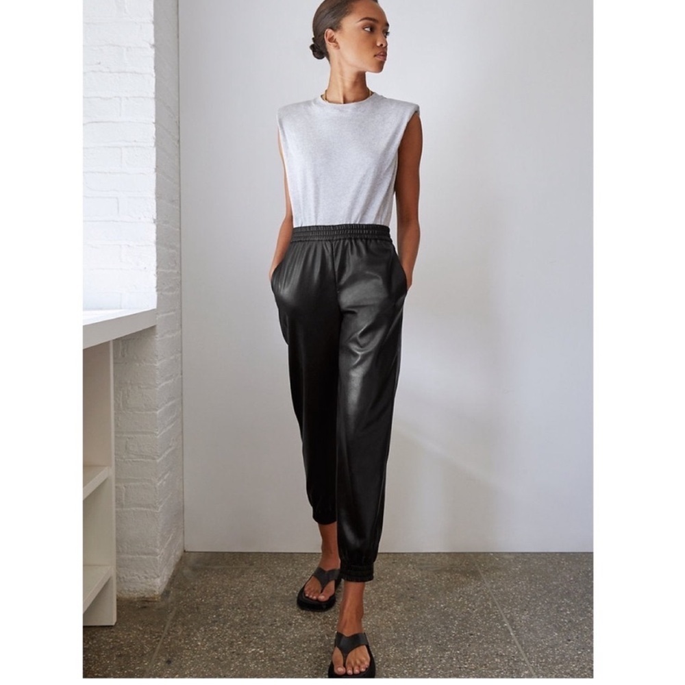Aritzia Bebaton Zedel Black Vegan Leather Pants XS